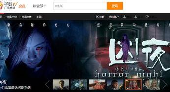 伦理万部高清在线观看,高清在线揭秘道德边界